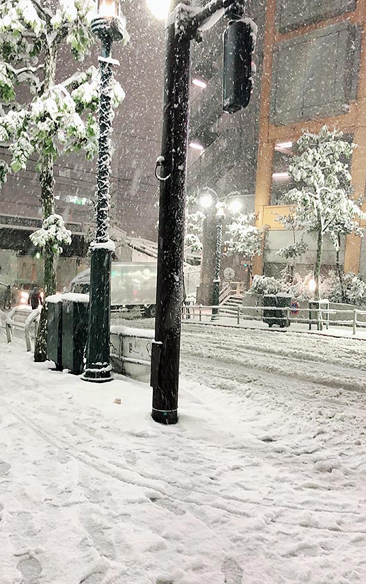 東京は大雪