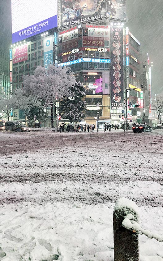 東京で大雪2