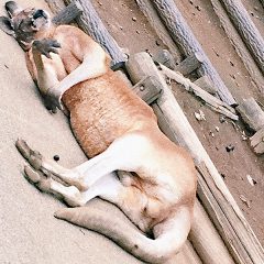 はじめまして