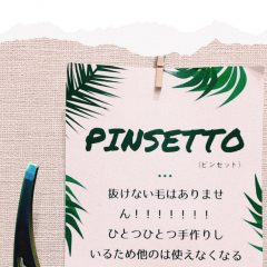pinsetto